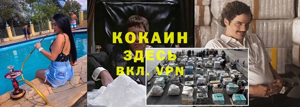 PSILOCYBIN Краснотурьинск