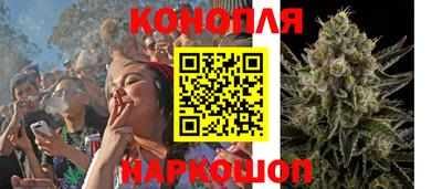Альфа ПВП Ликино-Дулёво