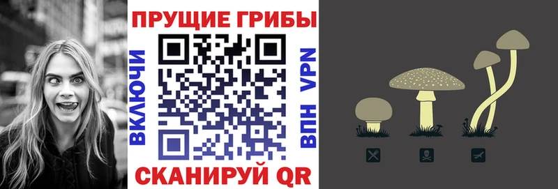 купить   Мценск  Галлюциногенные грибы GOLDEN TEACHER 