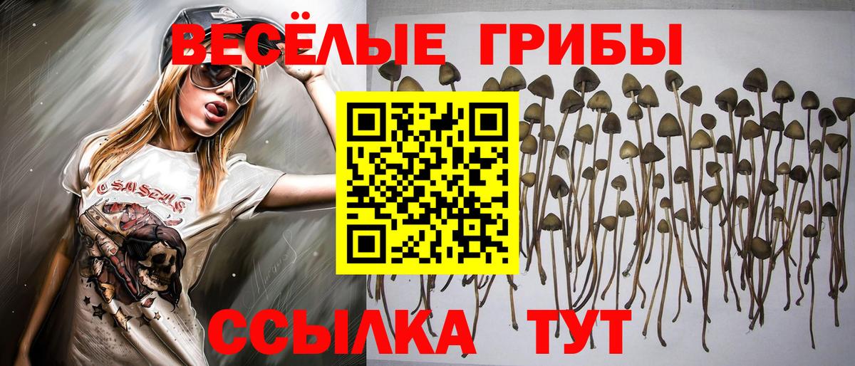 Псилоцибиновые грибы мухоморы Мценск